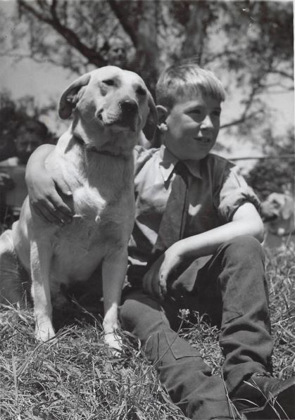 A young Roger Bridgford with a beloved Golden Retriever.